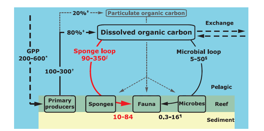 figure image